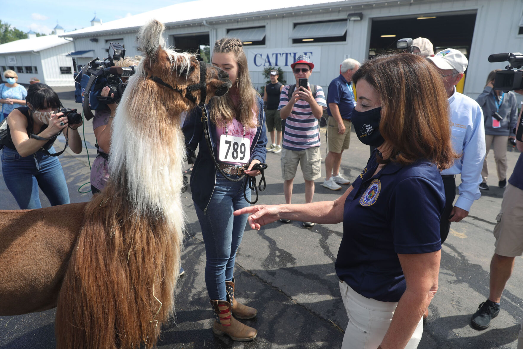 Kathy Hochul checks out a llama.
